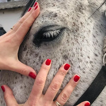 פארק נופש Dworek Bielin