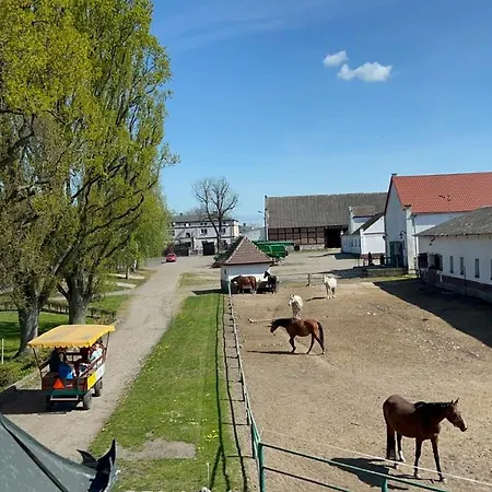 Dworek