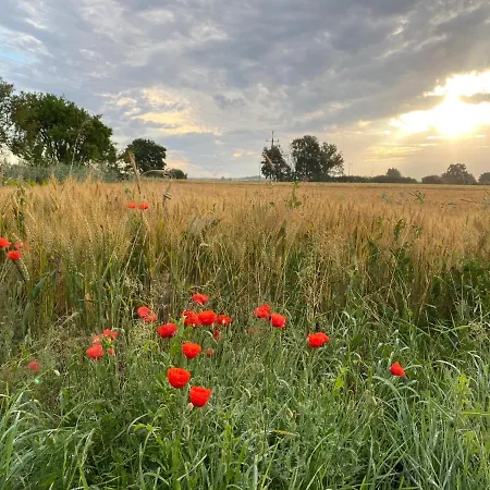 Dworek Vakantiepark Bielin