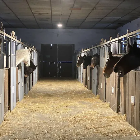 Vakantiepark Dworek *