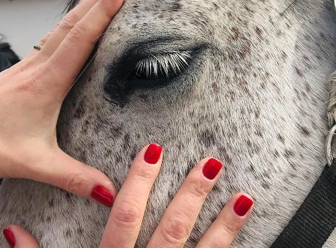 Kompleks wypoczynkowy Dworek Bielin