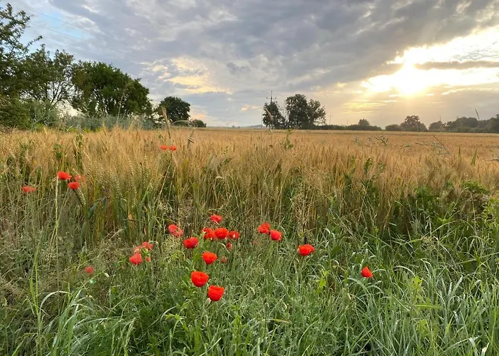Dworek Kompleks wypoczynkowy Bielin