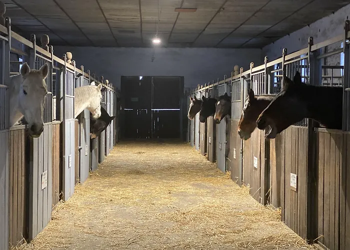 Kompleks wypoczynkowy Dworek *