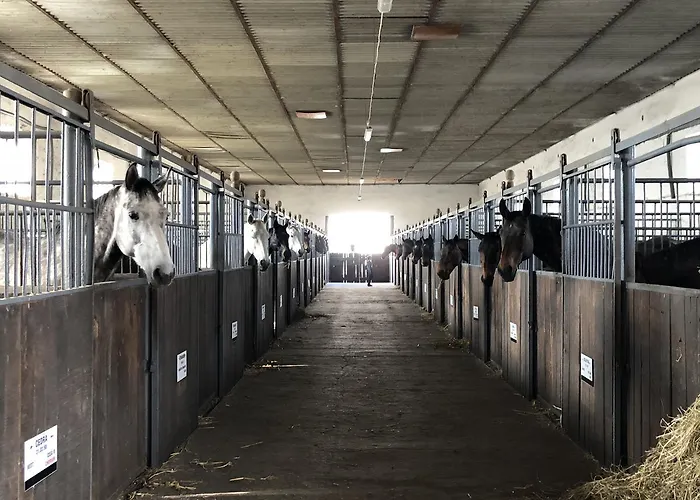 Dworek Kompleks wypoczynkowy *