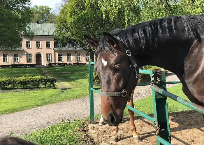 Dworek Kompleks wypoczynkowy *